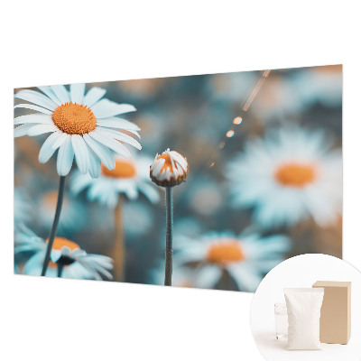Modern wall mural with a chamomile motif