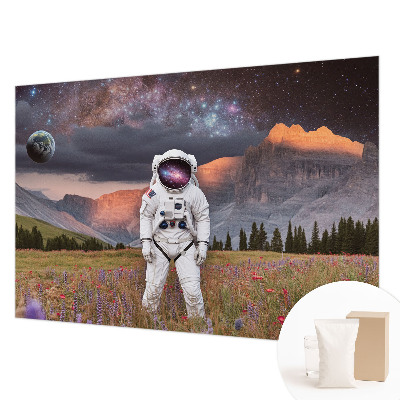 Modern wall mural for bedroom featuring a cosmic landscape design