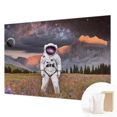 Modern wall mural for bedroom featuring a cosmic landscape design