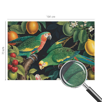 Non-woven photo wallpaper Tropical adventure