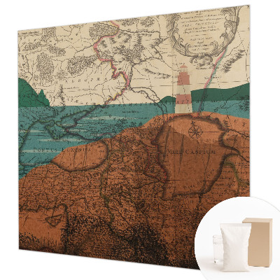 Large wallpaper mural with a historical map design