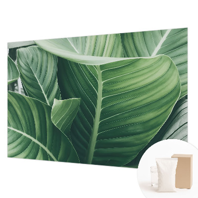 Photo wall mural with a green peace design