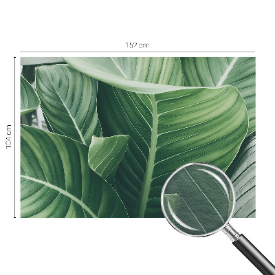 Photo wall mural with a green peace design