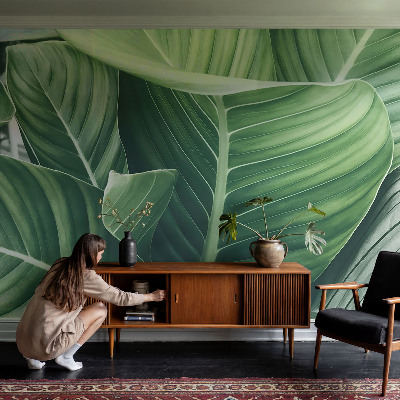 Photo wall mural Green peace