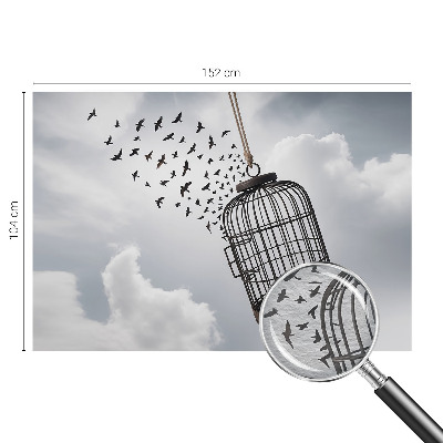 Non-woven photo wallpaper Flying birds