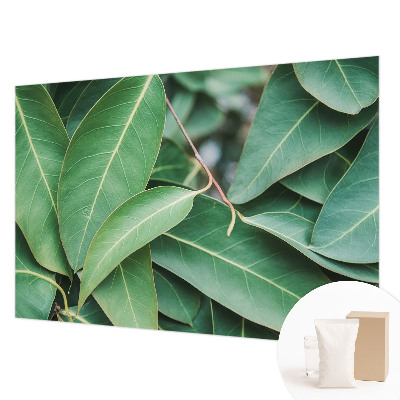 Wallpaper mural for living room with a green leaves design