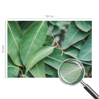 Wallpaper mural for living room with a green leaves design