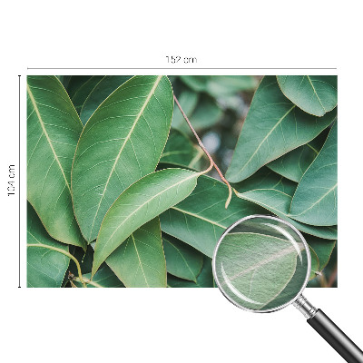 Wallpaper mural for living room with a green leaves design