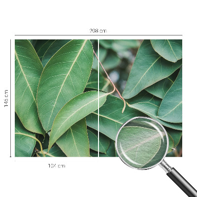 Wallpaper mural for living room with a green leaves design