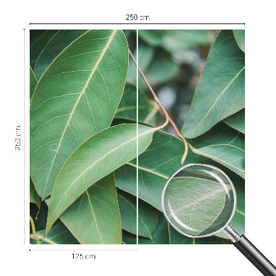 Wallpaper mural for living room with a green leaves design