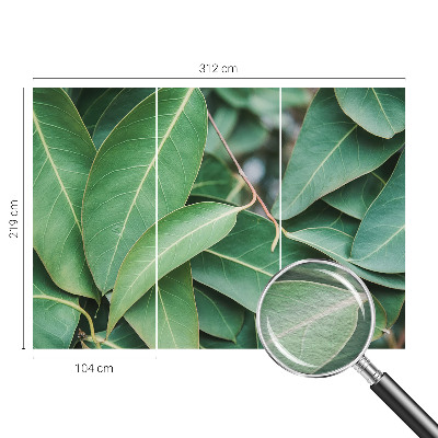 Wallpaper mural for living room with a green leaves design