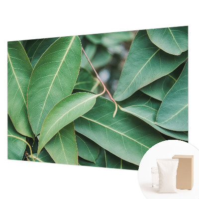 Wallpaper mural for living room with a green leaves design