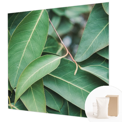 Wallpaper mural for living room Green leaves
