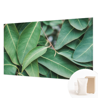 Wallpaper mural for living room Green leaves