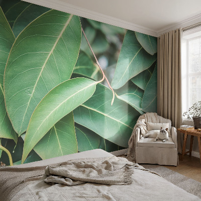 Wallpaper mural for living room with a green leaves design