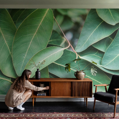 Wallpaper mural for living room with a green leaves design