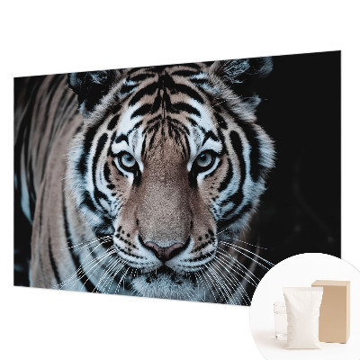 Photo wallpaper Tiger portrait