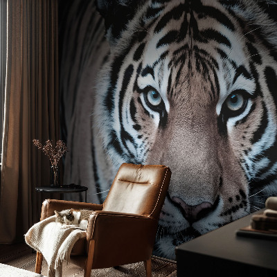 Photo wallpaper Tiger portrait