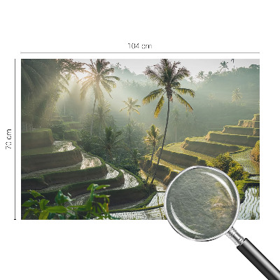 Wallpaper mural for living room Paradise terraces