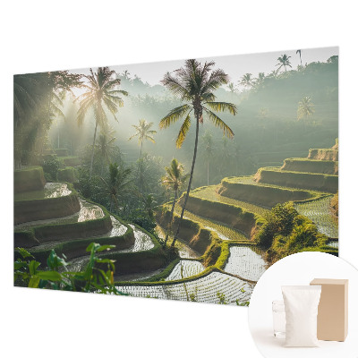 Wallpaper mural for living room with the Paradise Terraces design