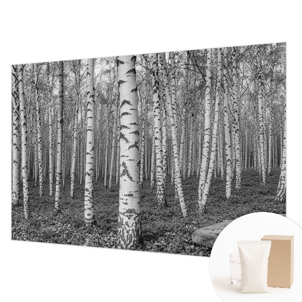 Large wallpaper mural with a birch forest design