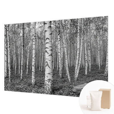 Large wallpaper mural with a birch forest design