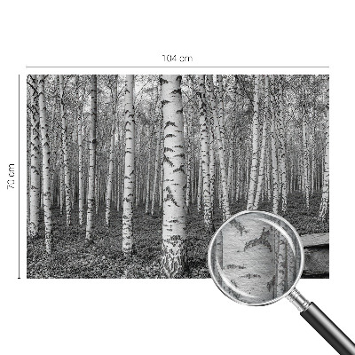 Large wallpaper mural with a birch forest design