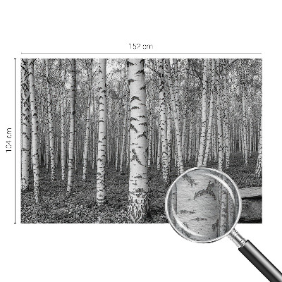 Large wallpaper mural with a birch forest design