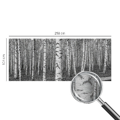 Large wallpaper mural with a birch forest design