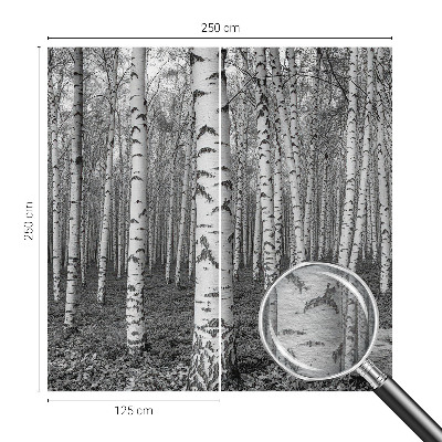Large wallpaper mural with a birch forest design