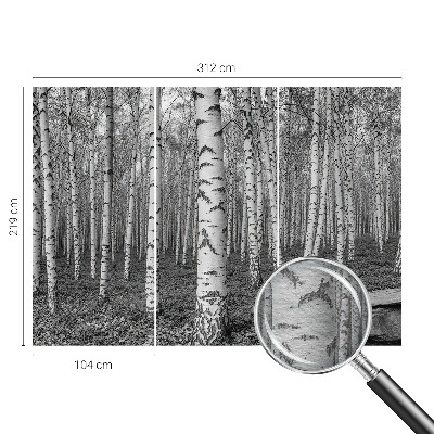 Large wallpaper mural with a birch forest design