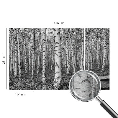 Large wallpaper mural with a birch forest design