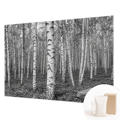 Large wallpaper mural with a birch forest design