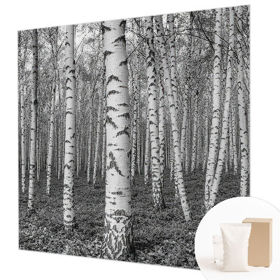 Large wallpaper mural with a birch forest design