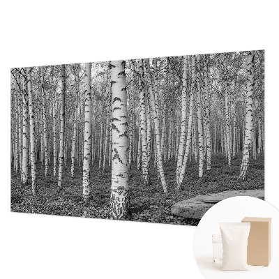 Large wallpaper mural with a birch forest design