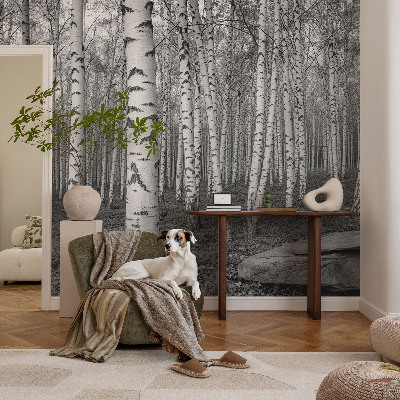 Large wallpaper mural with a birch forest design
