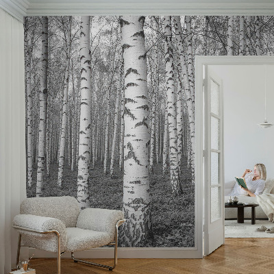 Large wallpaper mural with a birch forest design