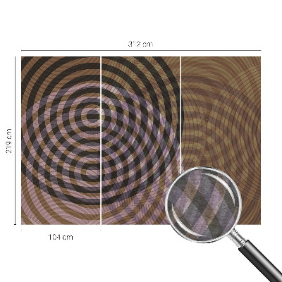 Wallpaper mural with a hypnotic circles pattern