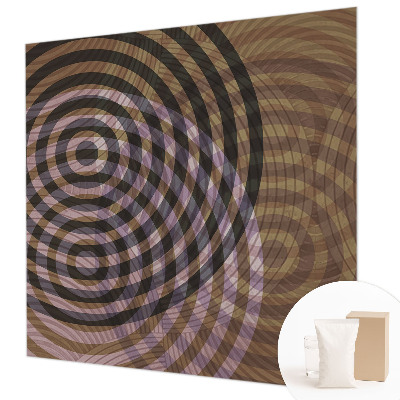Wallpaper mural with a hypnotic circles pattern