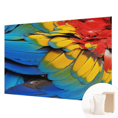 Wall mural for living room with a rainbow feather design