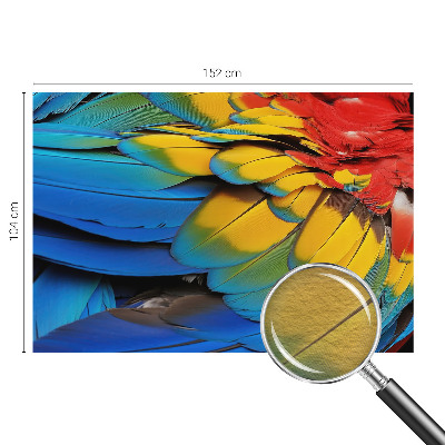 Wall mural for living room with a rainbow feather design
