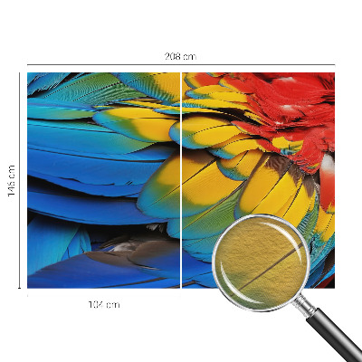 Wall mural for living room with a rainbow feather design