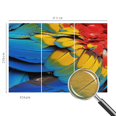 Wall mural for living room with a rainbow feather design