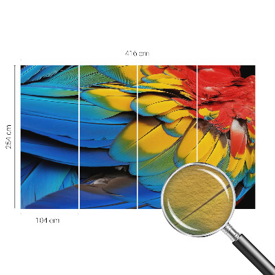 Wall mural for living room with a rainbow feather design