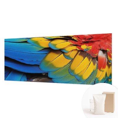 Wall mural for living room with a rainbow feather design