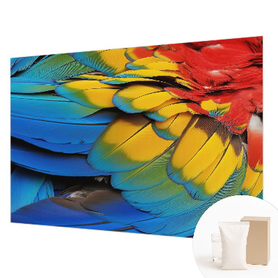Wall mural for living room with a rainbow feather design