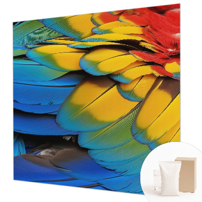 Wall mural for living room with a rainbow feather design