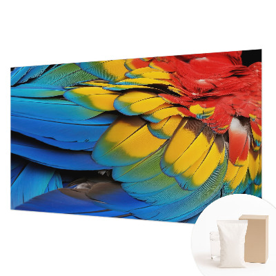 Wall mural for living room with a rainbow feather design