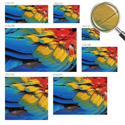 Wall mural for living room with a rainbow feather design