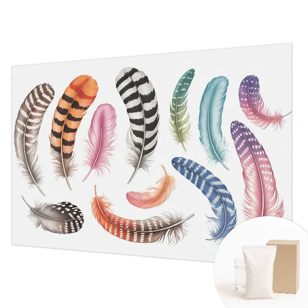 Premium photo wallpaper Pastel feathers